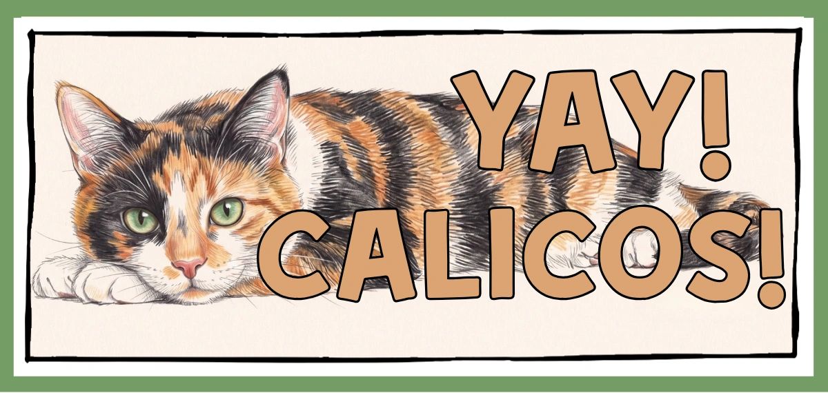 Yay! Calicos
