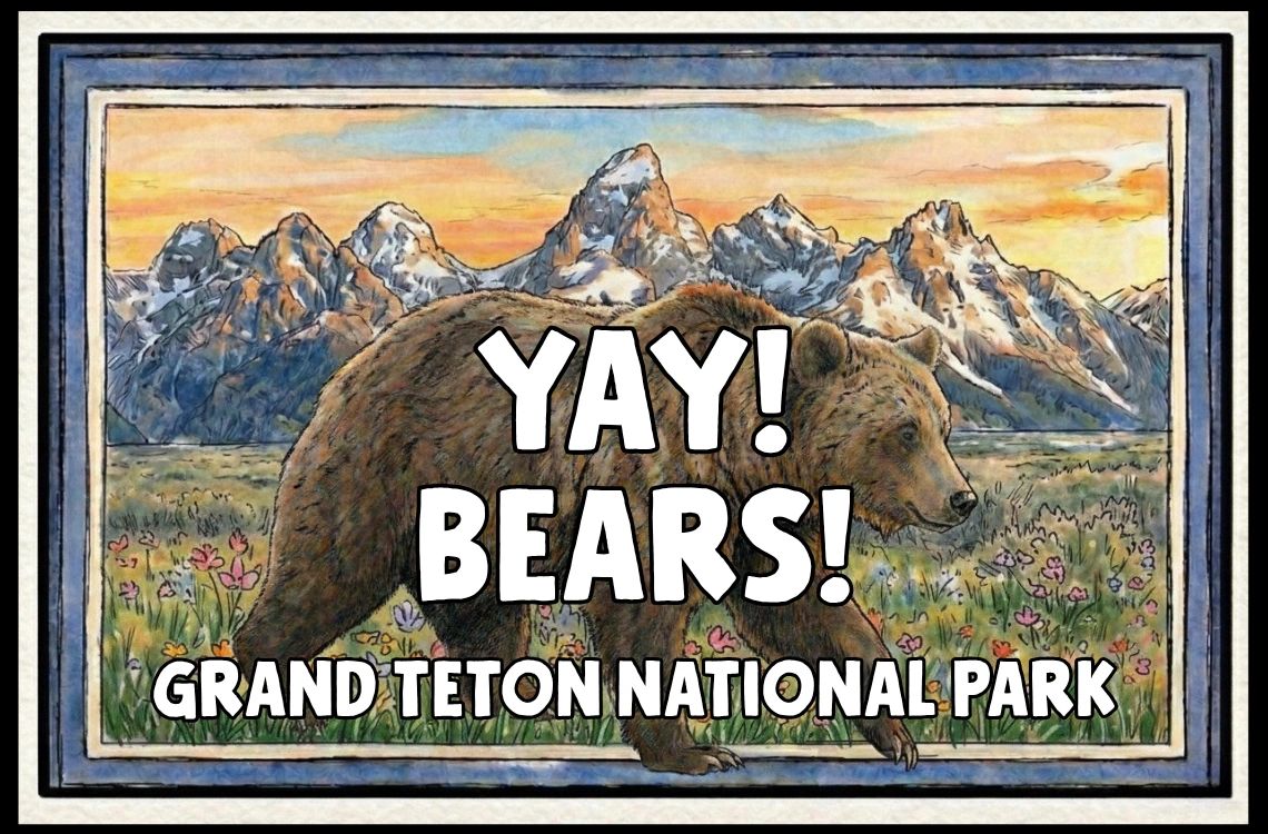 Yay! Bears