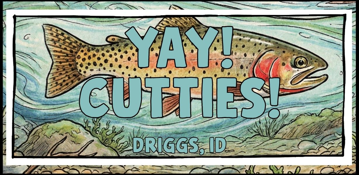 Yay! Cutties