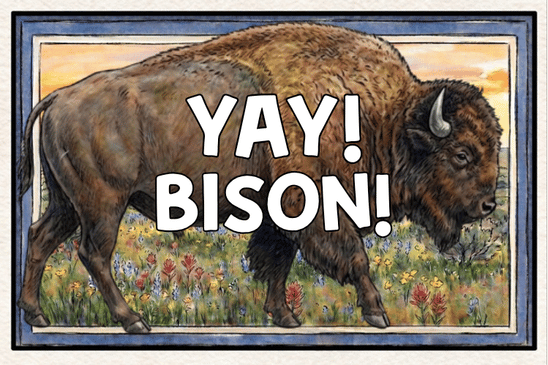 old  bison 20 sticker design
